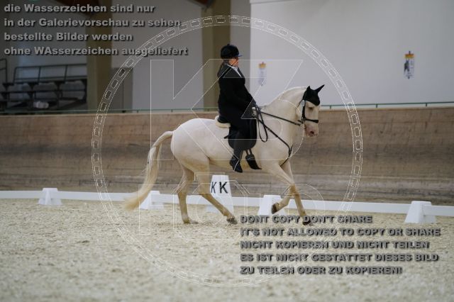 s_K3F02365.JPG